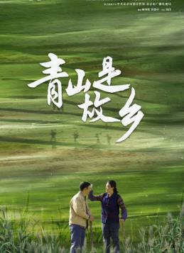 青山是故乡